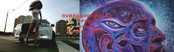 индика Алексеевка