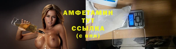 PSILOCYBIN Нязепетровск