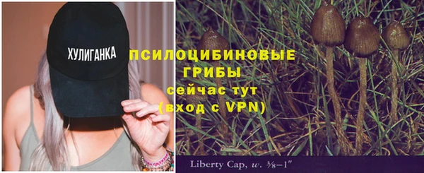 альфа пвп Нягань