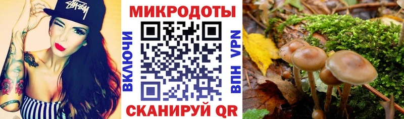 где найти наркотики  Торопец  Псилоцибиновые грибы мицелий 